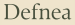 Logo Defnea - Formations drainage lymphatique et beauté